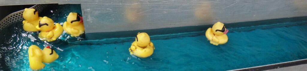 pick a duck game joint