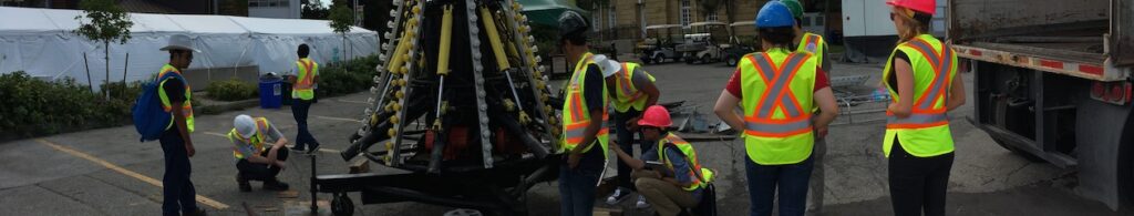 looking at bumblebees